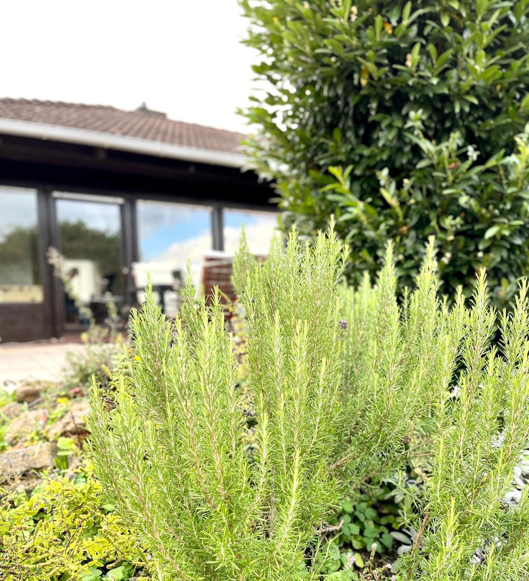 Ferienhaus Weinbergblick - Nahe Wuerzburg - 2 Schlafzimmer - Familienfreundlich - Terrasse Unterleinach Kültér fotó