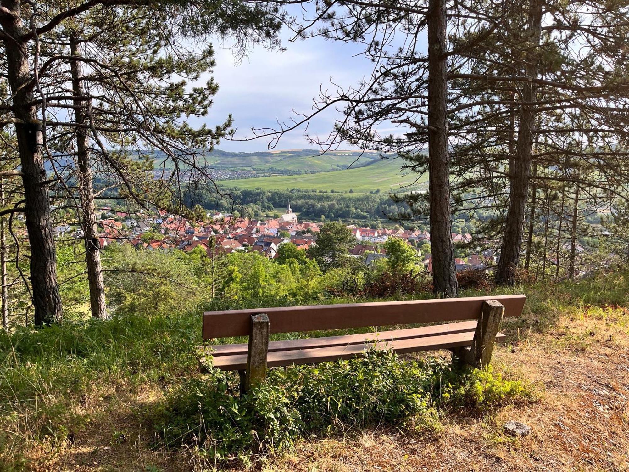 Ferienhaus Weinbergblick - Nahe Wuerzburg - 2 Schlafzimmer - Familienfreundlich - Terrasse Unterleinach Kültér fotó