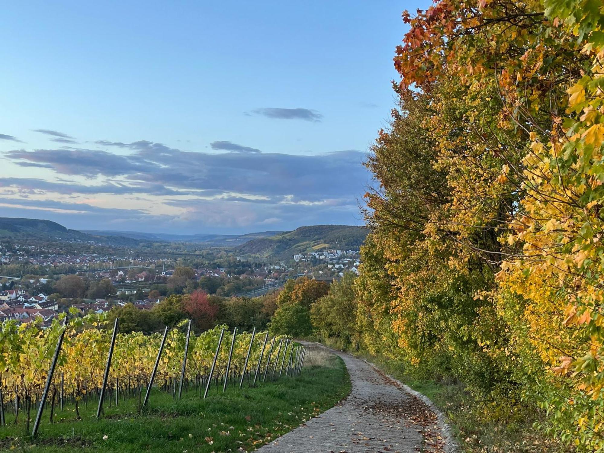 Ferienhaus Weinbergblick - Nahe Wuerzburg - 2 Schlafzimmer - Familienfreundlich - Terrasse Unterleinach Kültér fotó